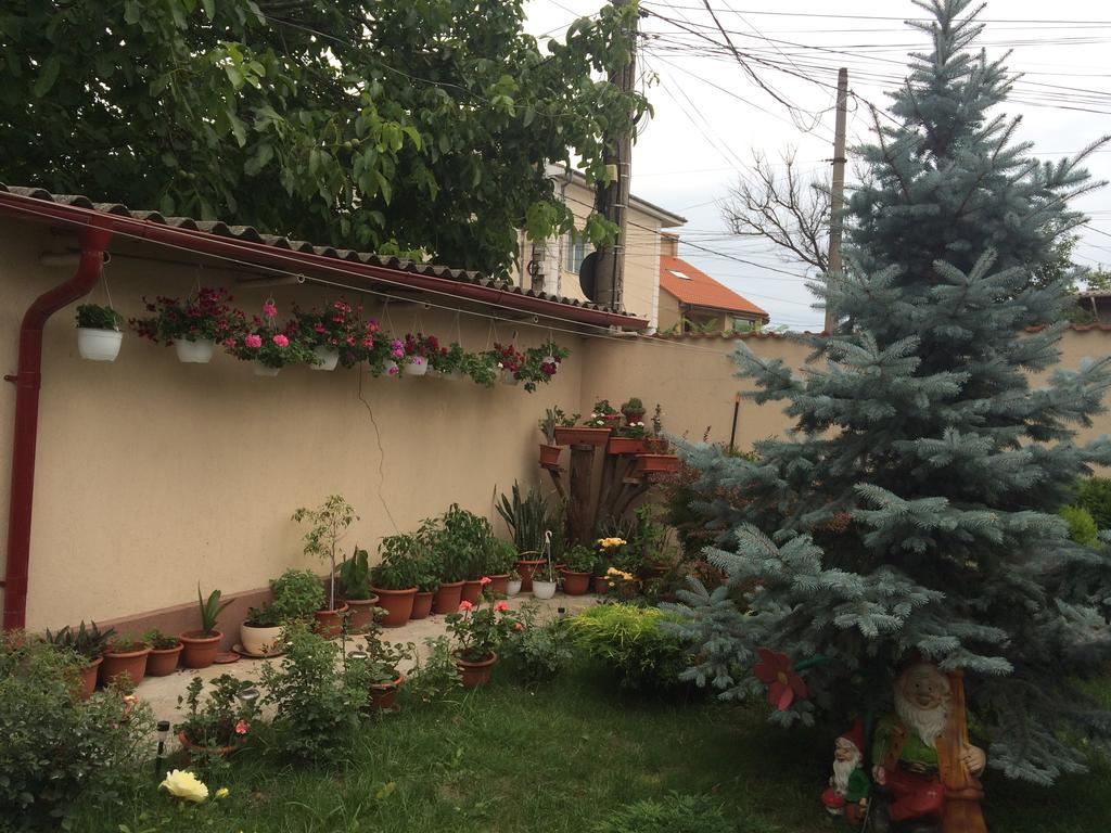 מלון קונסטנצה Casa Litoral מראה חיצוני תמונה