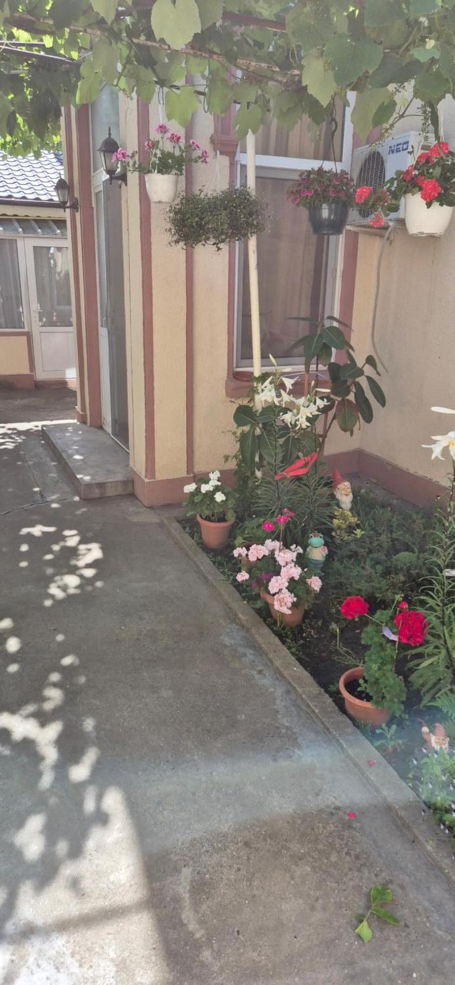 מלון קונסטנצה Casa Litoral מראה חיצוני תמונה